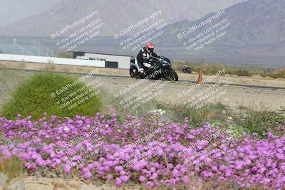 media/Feb-04-2023-SoCal Trackdays (Sat) [[8a776bf2c3]]/Turn 15 Inside Blooming (1050am)/